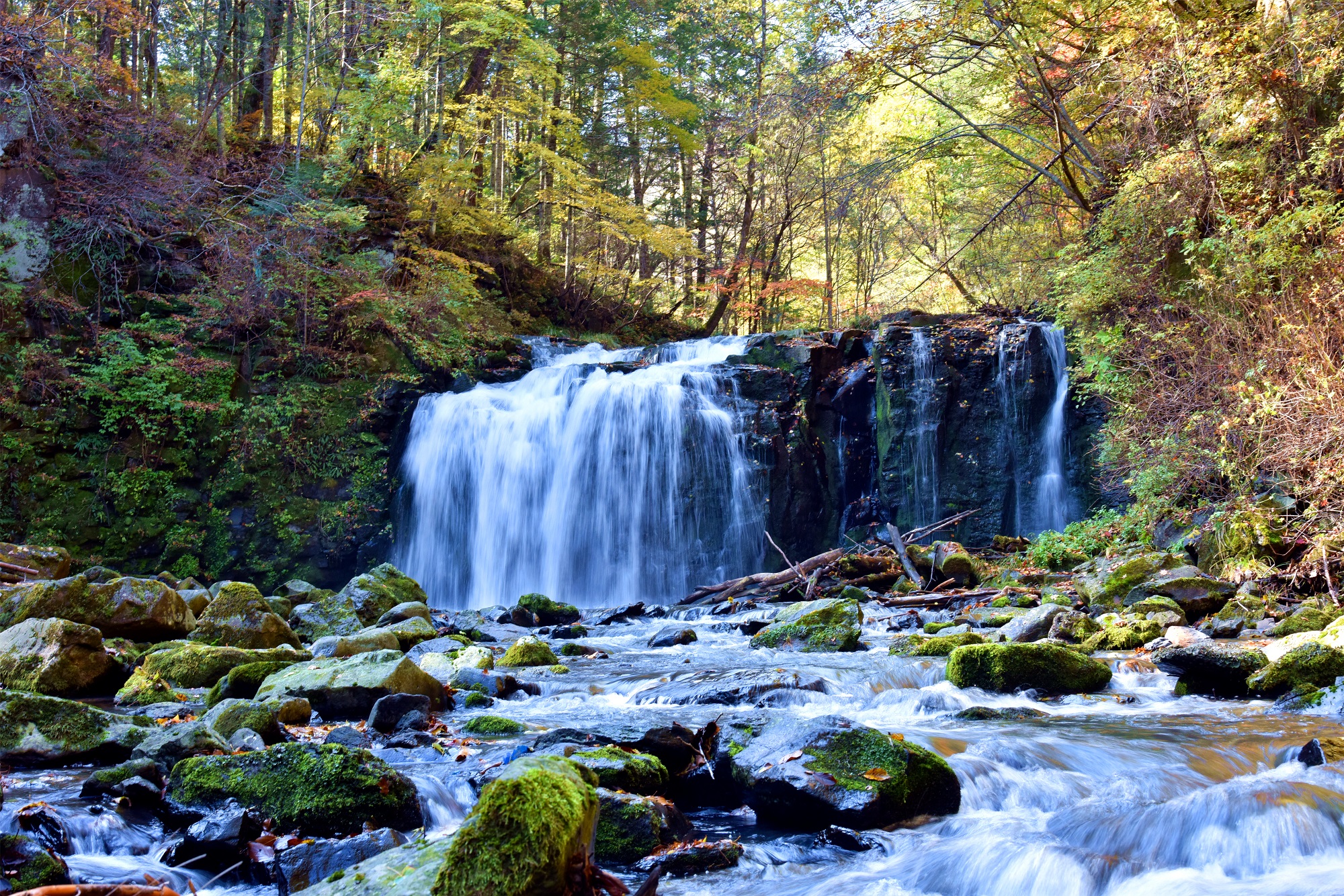 圣水湖秋韻 (1).JPG