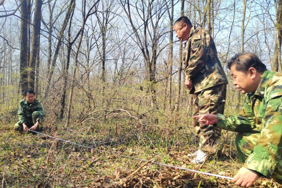 1746512424171585.jpg 大東林場黨支部開展“科學(xué)造林育林 實現(xiàn)永續(xù)利用”主題黨日活動(1).jpg