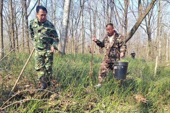 1746512429800910.jpg 大東林場黨支部開展“科學(xué)造林育林 實現(xiàn)永續(xù)利用”主題黨日活動(2).jpg