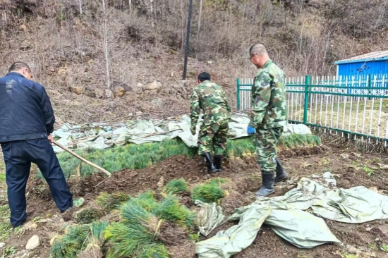 1746516066766569.jpg 踐行綠色使命 書寫生態(tài)答卷森林資源管護(hù)大隊扎實推進(jìn)春季營林生產(chǎn)工作(1).jpg